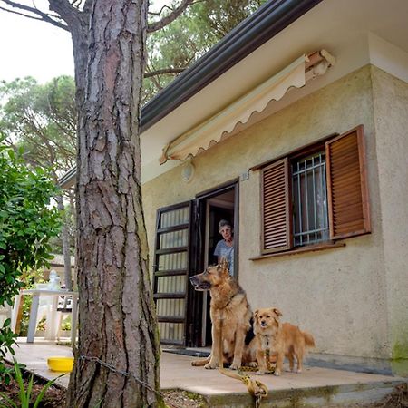 Arco Bungalow Eraclea Mare Bagian luar foto