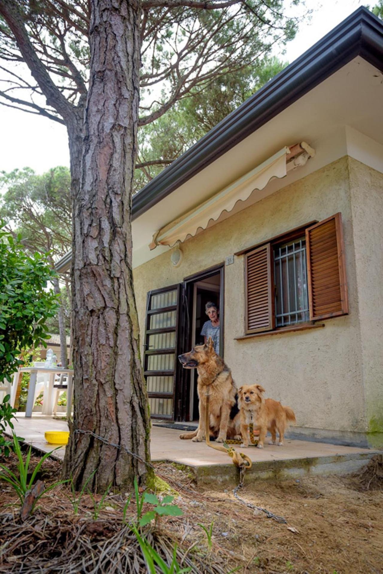Arco Bungalow Eraclea Mare Bagian luar foto